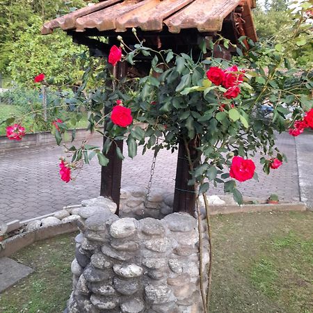 Willa Il Vecchio Kiwi - House With Private Garden Oleggio Castello Zewnętrze zdjęcie