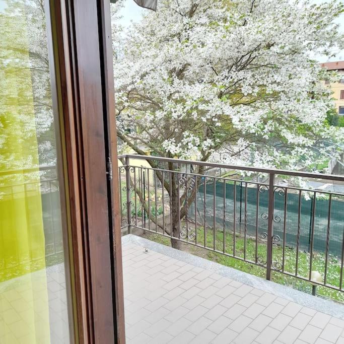 Willa Il Vecchio Kiwi - House With Private Garden Oleggio Castello Zewnętrze zdjęcie