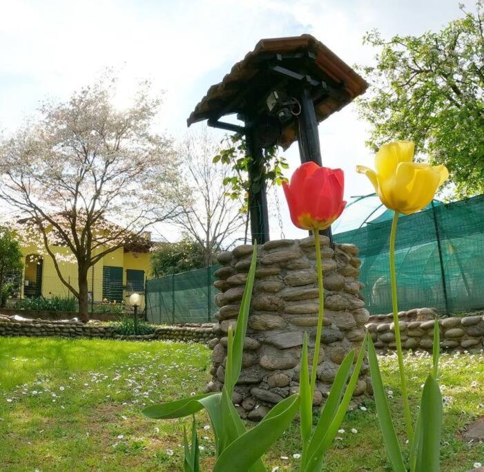 Willa Il Vecchio Kiwi - House With Private Garden Oleggio Castello Zewnętrze zdjęcie